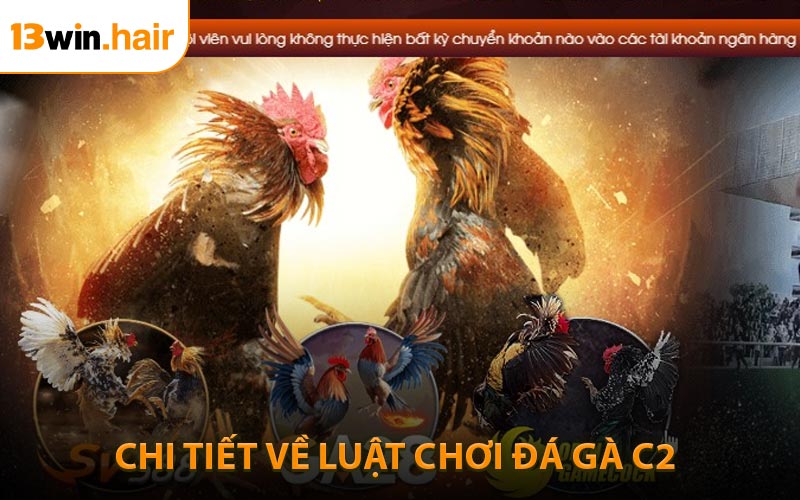 Hướng dẫn chi tiết về luật chơi đá gà C2